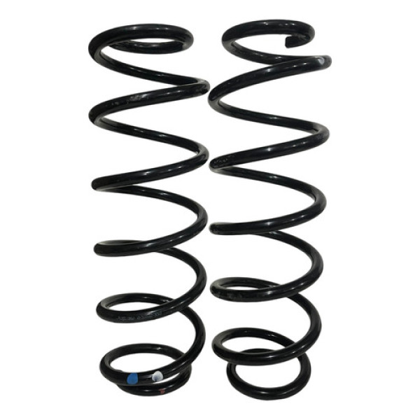 Par De Mola Traseira Byd Dolphin Gs 2024