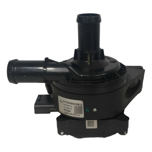 Bomba De Água Elétrica Byd Yuan Plus 2024 Preto 12v 0 Monofásica