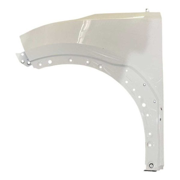 Para-lama Dianteiro Esquerdo Byd Dolphin Mini 2025