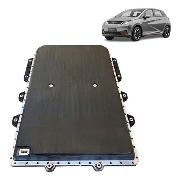 Bateria Byd Dolphin Gs 44 Kw 2024 Preto