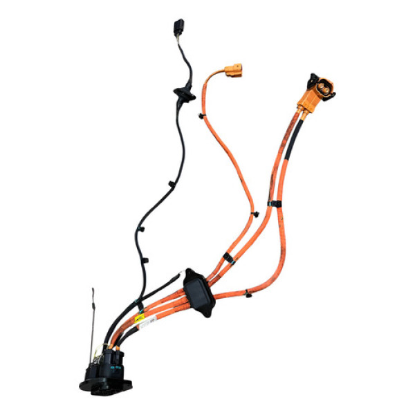 Cabo Carregamento Gwm Haval H6 2025  ) Bege