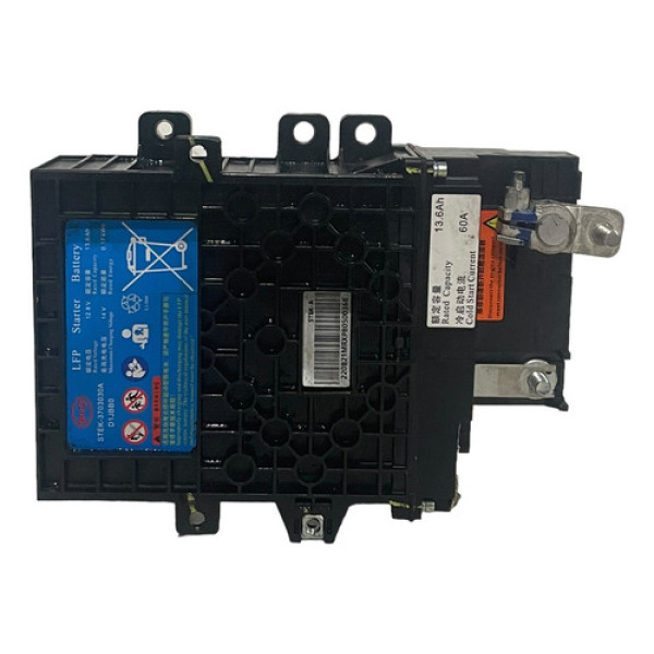 Bateria Auxiliar Byd Dolphin Plus2023 2024