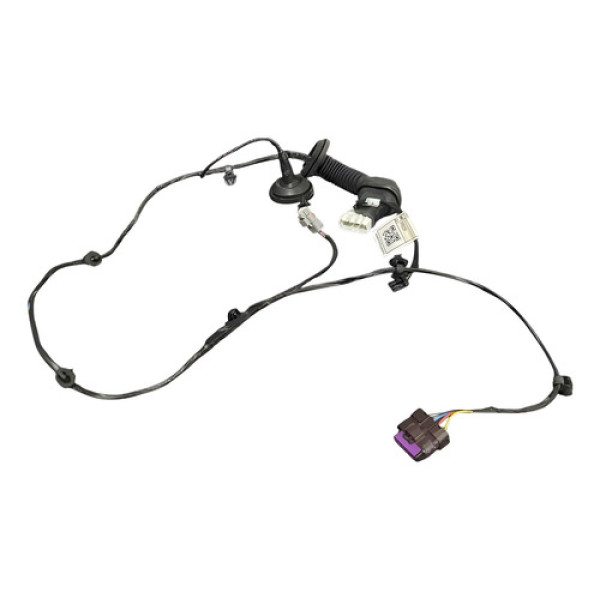 Chicote De Porta Traseira Esq Byd Dolphin Mini 2025