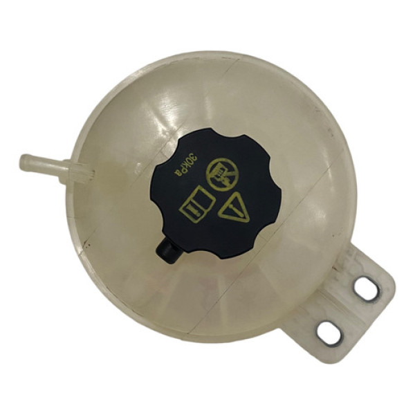 Reservatório Água Do Radiador Byd Dolphin Gs 2024