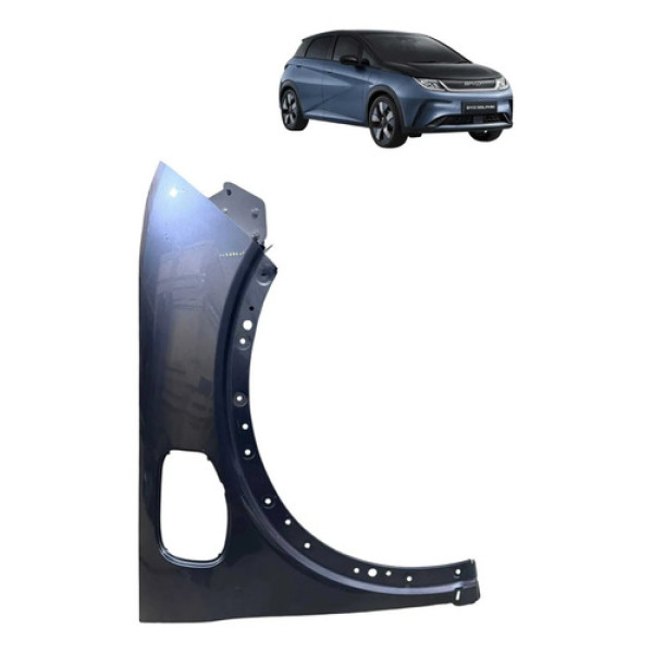 Para-lama Dieito Byd Dolphin Plus  2024