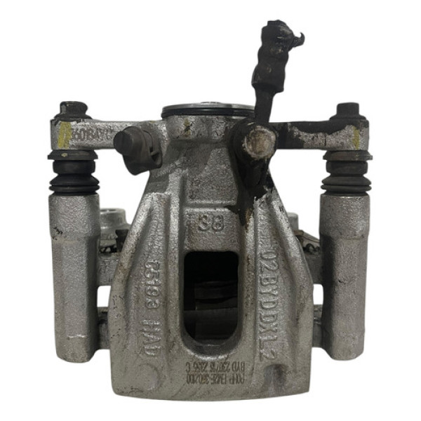 Pinça Freio Traseira Esquerda Byd Dolphin Gs 2024